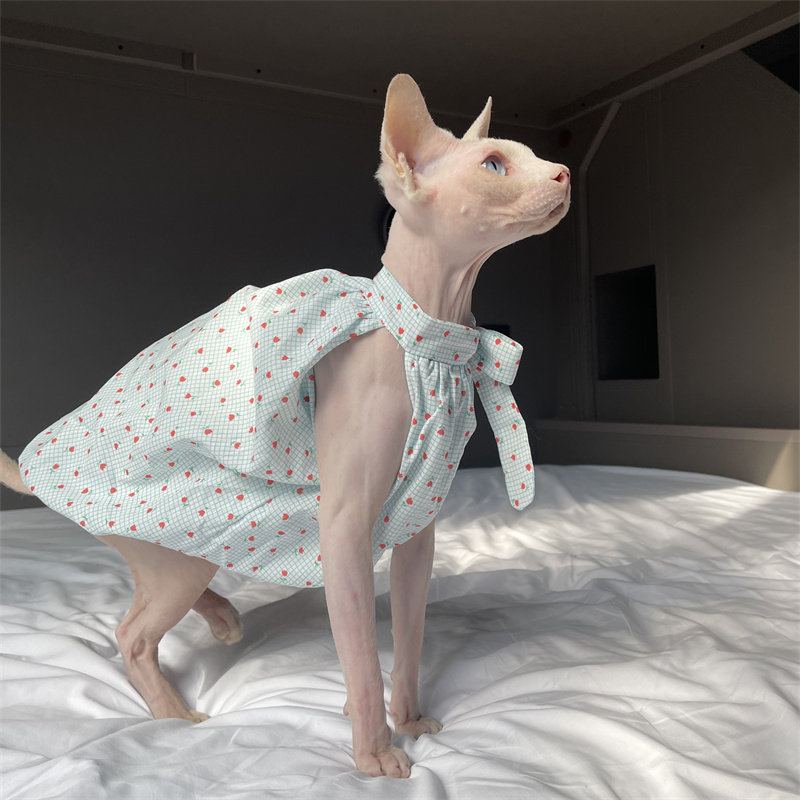 Cat Clothing in Summer Sweet L - Summer Light Clothing reseña y precio