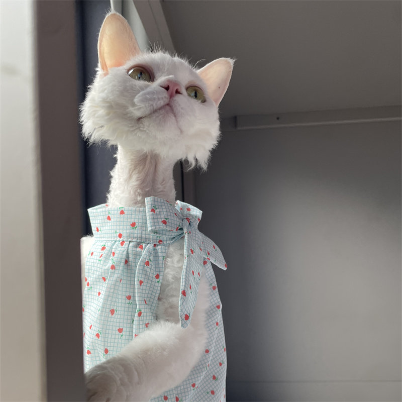 Cat Clothing in Summer Sweet L - Summer Light Clothing reseña y precio