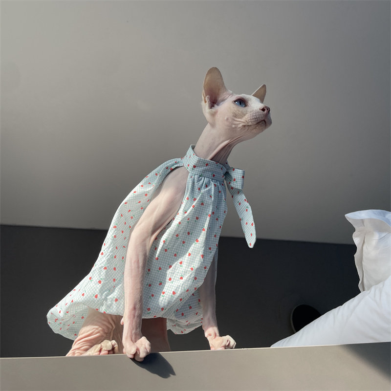 Cat Clothing in Summer Sweet L - Summer Light Clothing reseña y precio
