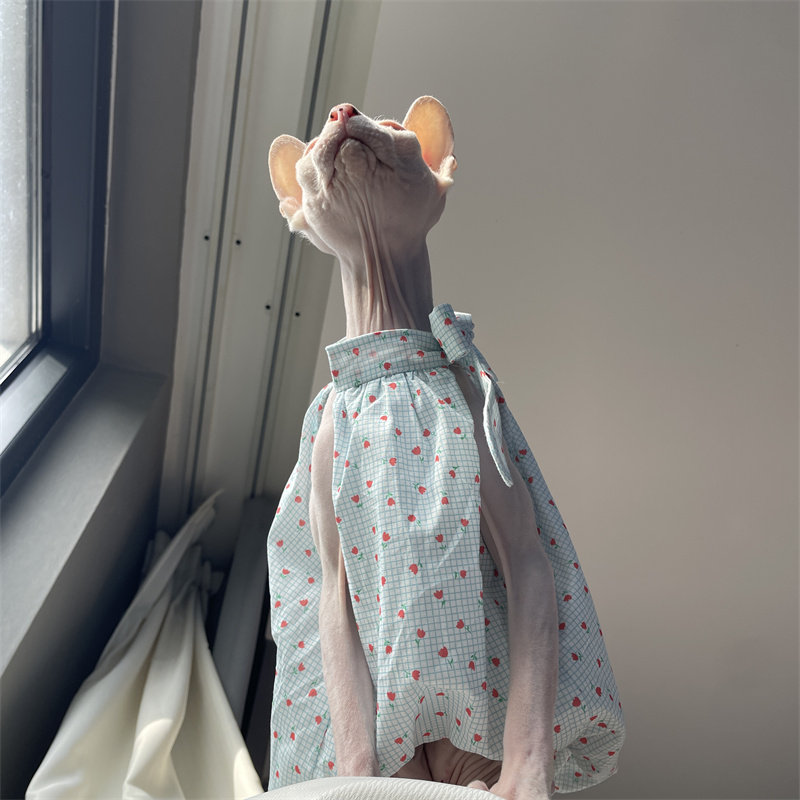 Cat Clothing in Summer Sweet L - Summer Light Clothing reseña y precio