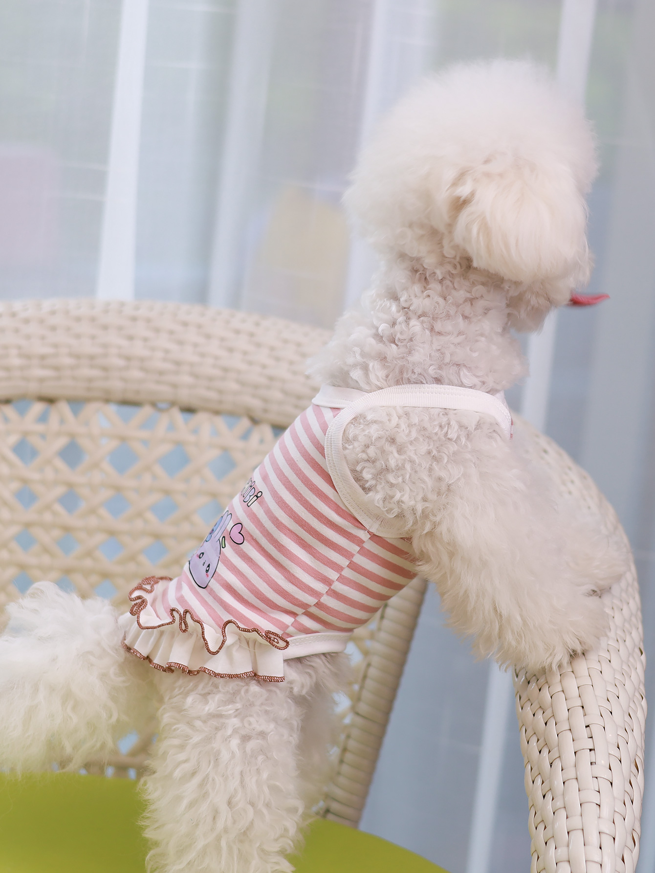 Dog vest, summer breathable th - Summer Clothing Material reseña y precio