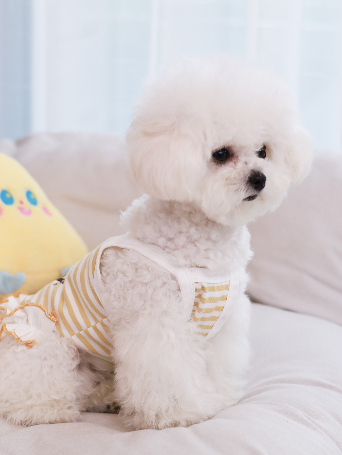 Dog vest, summer breathable th - Summer Clothing Material reseña y precio